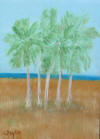 palm trees